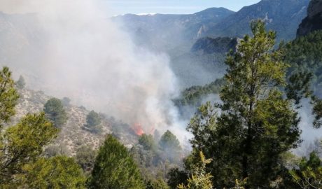 Un incendi a l'Alt Urgell