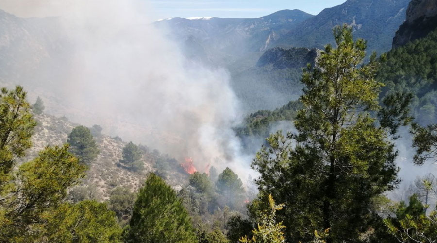 Un incendi a l'Alt Urgell (Bombers.cat)