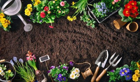 Preparant el jardí per primavera
