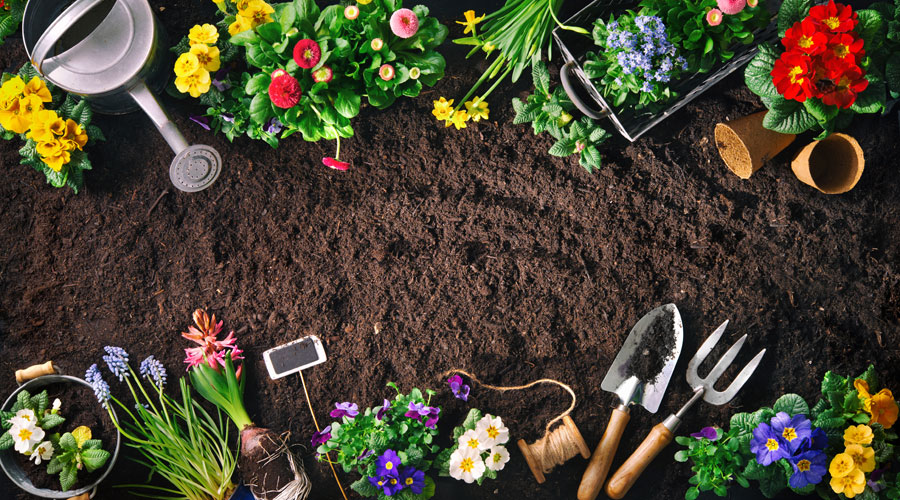 Preparant el jardí per primavera (Getty images)