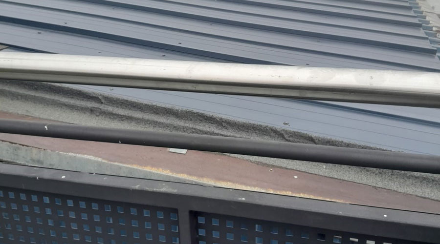 Saltant la barana, els infants i joves poden accedir al teulat de l'antiga guarderia del Pas (PS)