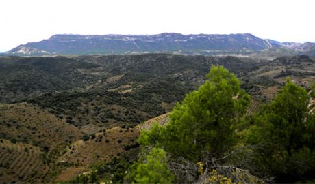 La mola del Montsant, vista des de la Serra de la Llena