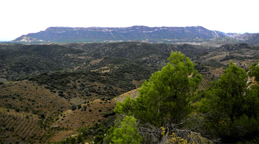 La mola del Montsant, vista des de la Serra de la Llena