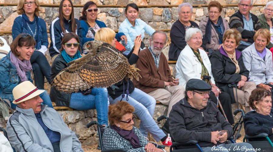 El Zoo del Pirineu serà una de les visites que oferirà l'excursió (Zoo del Pirineu)