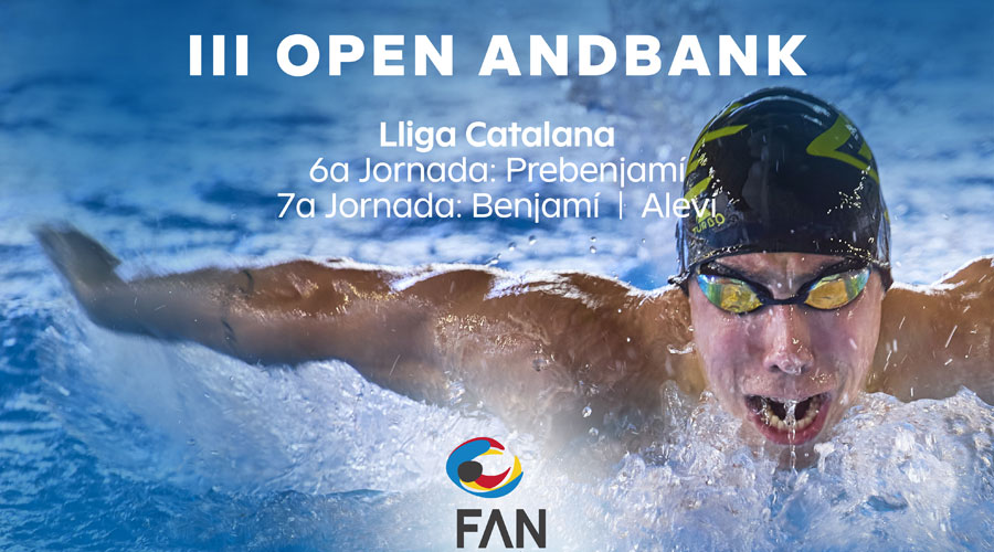 Cartell de la 3a edició de l'Open Andbank de Natació (FAN)