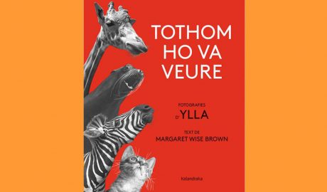 Coberta del llibre infantil "Tothom ho va veure"