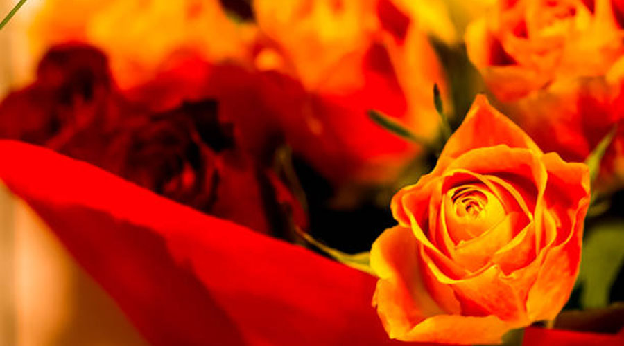 Una de les cites obligades de l'abril és la diada de Sant Jordi