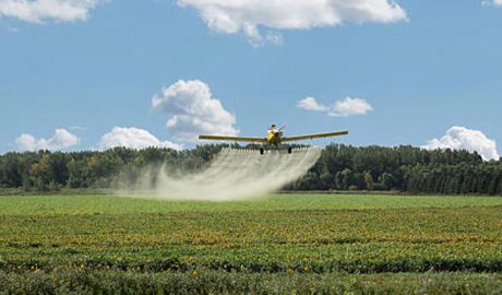 Una avioneta escampant productes pesticides