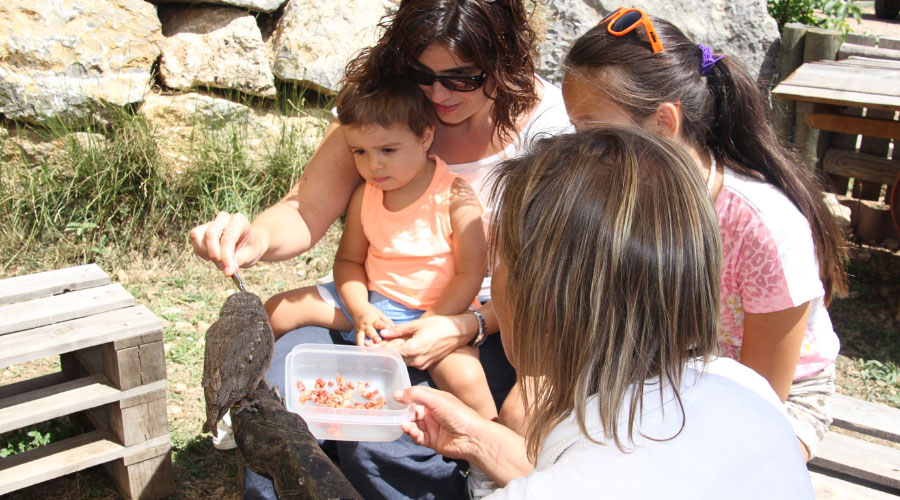 Foto: Lluis Barniols. Educar els fills i les filles cap al respecte i l’amor per la natura