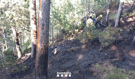 Incendi de vegetació a Trejuvell