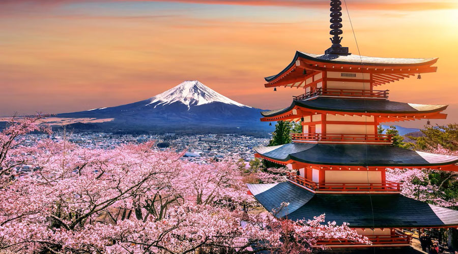 Flors de cirerer durant la primavera al Japó (tawatchai07 / freepik)