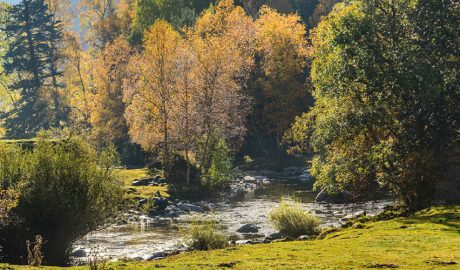 La vall de Bonabé (Parc Natural de l'Alt Pirineu), serà un dels espais on hi haurà activitats pel Dia Europeu dels Parcs
