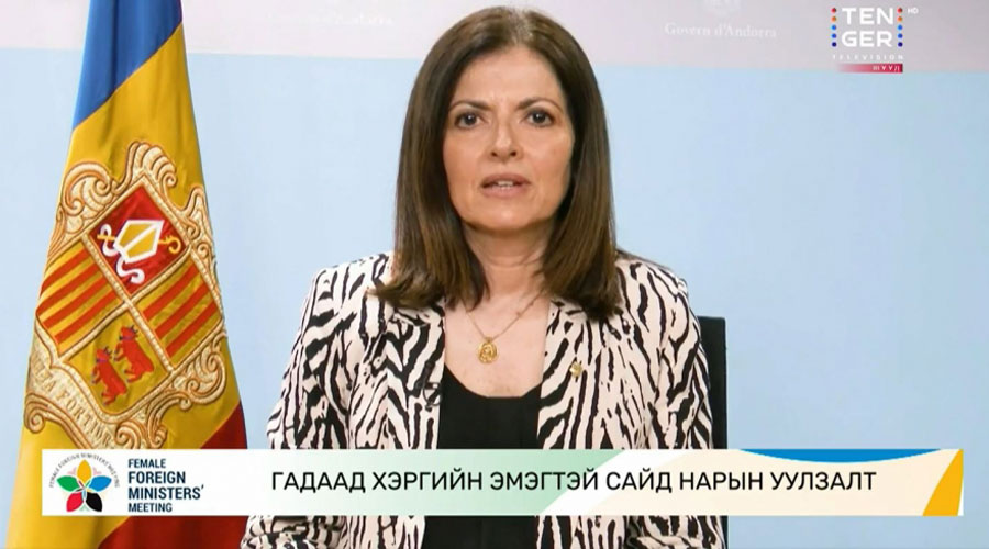 La ministre d'Afers Exteriors, Imma Tor, durant la trobada telemàtica (SFGA)