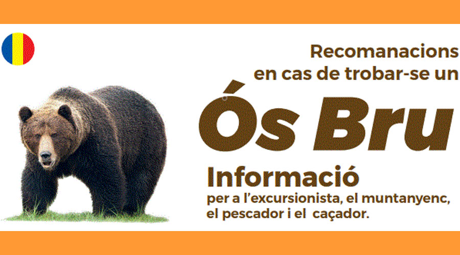 Cartell sobre les recomanacions si algú es troba amb un os (Govern d'Andorra)