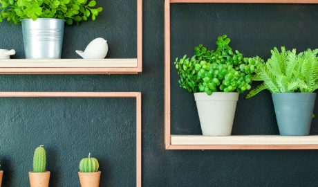 Una varietat de plantes artificials