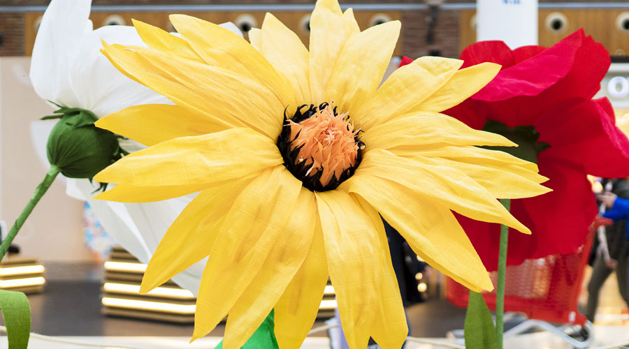 Una de les obres elaborades en paper a l'illa Carlemany (illa)