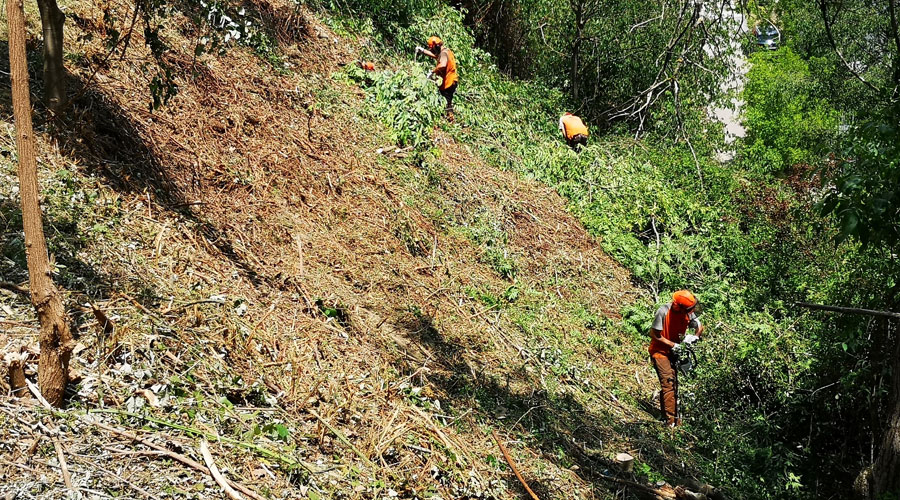 Neteja del sotabosc prop de Castellciutat (Aj. la Seu)