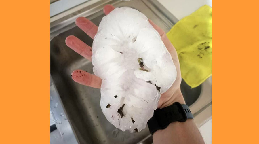 A Itàlia han caigut pedres d'una mida descomunal. Foto: Pordenone Today
