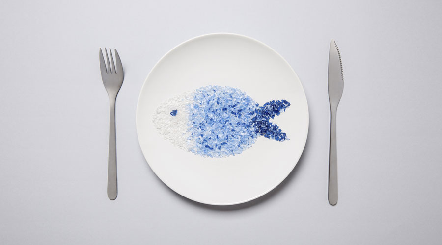 Un plat amb el dibuix d'un peix fet amb microplàstics (iStock)