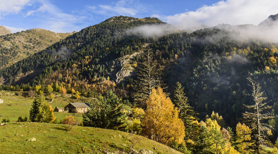 Imatge d'un paratge pirinenc (Govern.cat)