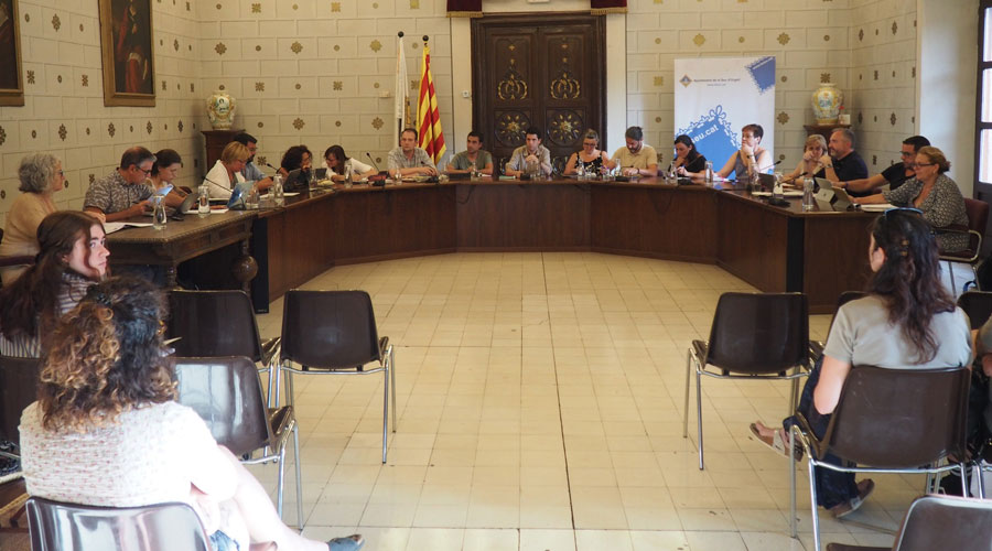 Un ple de l'Ajuntament de la Seu (RàdioSeu / arxiu)