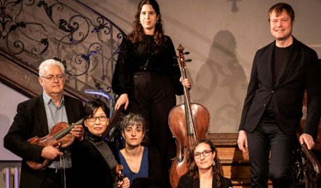 Terra Nova Collective