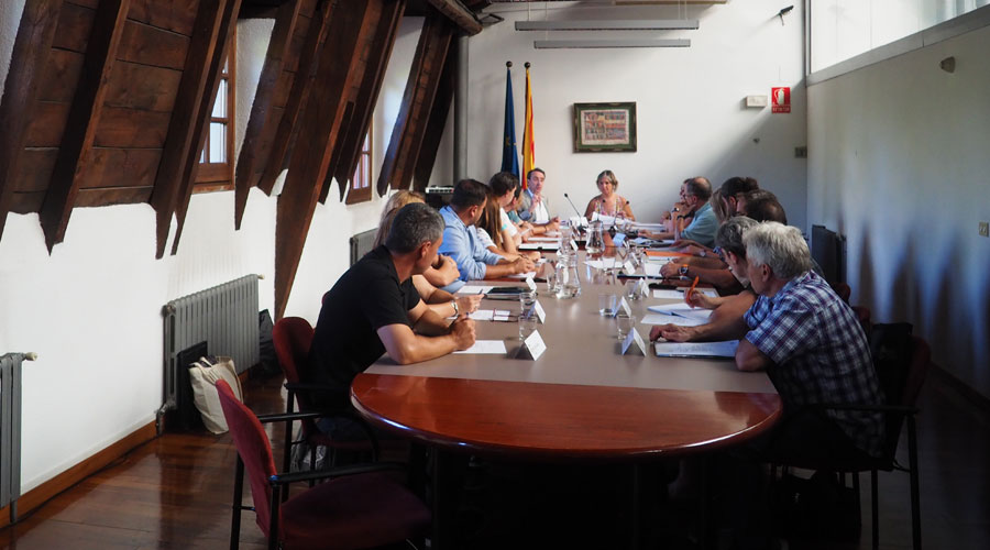 Ple d'aprovació del Cartipàs del Consell Comarcal de l'Alt Urgell (CCAU)