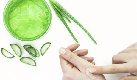 Àloe vera per a les picades de mosquit