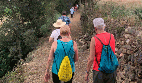 Una de les caminades que impulsa el CAP de la Seu