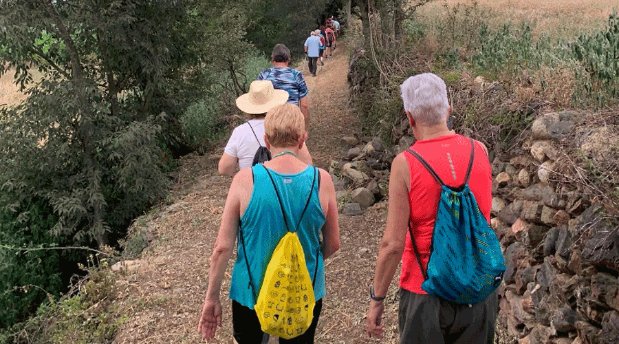Una de les caminades que impulsa el CAP de la Seu (RàdioSeu)