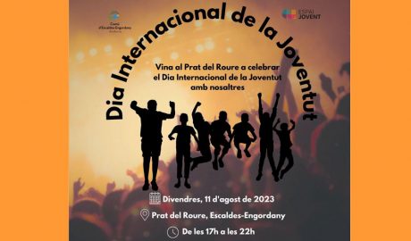 Cartell del Dia Internacional de la Joventut