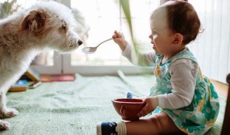 Un gos i un bebè jugant