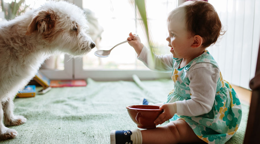 Un gos i un bebè jugant (iStock)