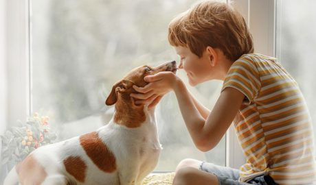 Un infant amb el seu gos
