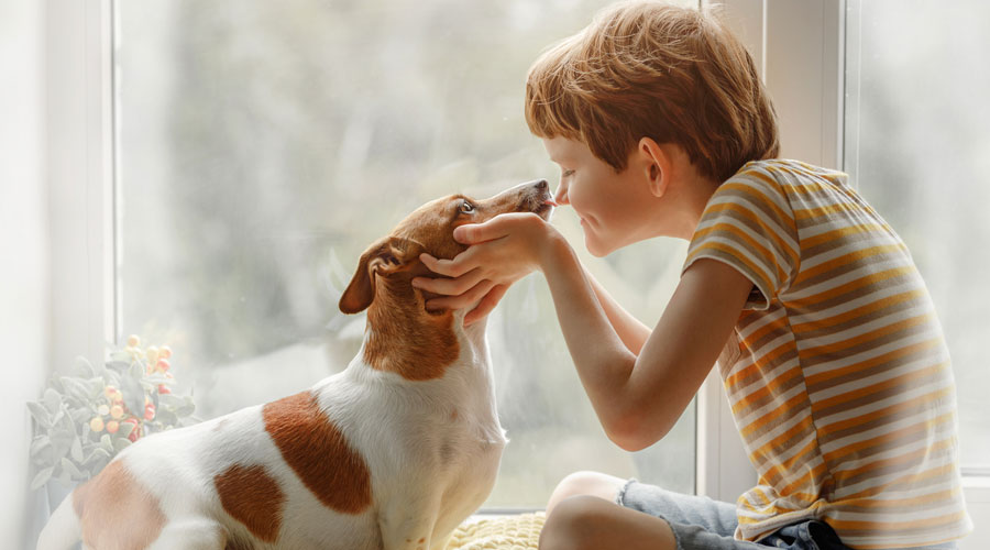 Un infant amb el seu gos (iStock)