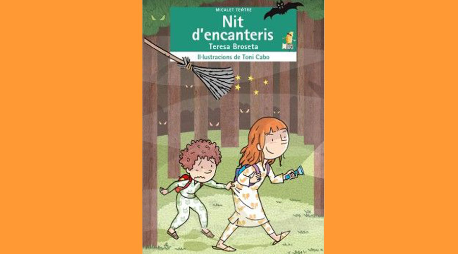Coberta de llibre infantil "Nit d'encanteris"