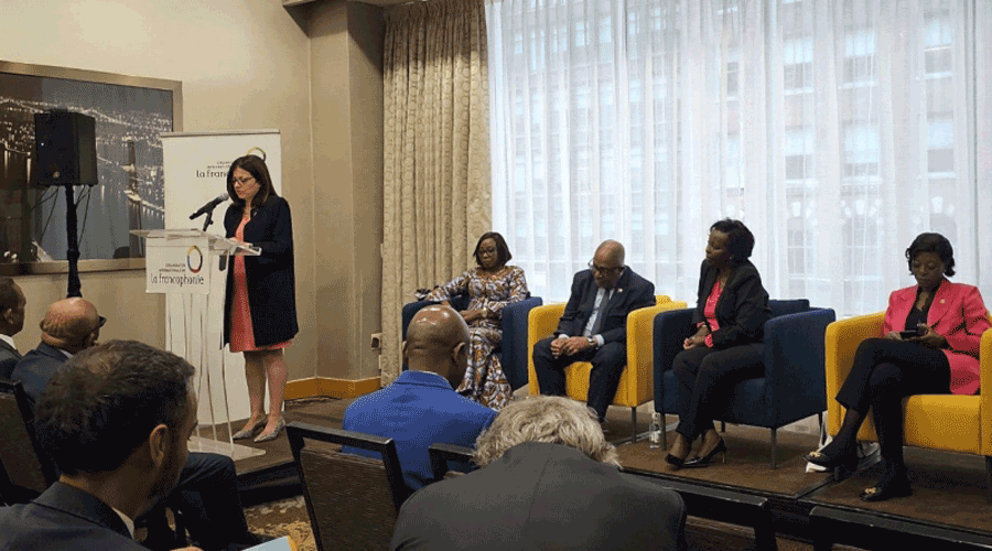 La ministra, Imma Tor durant la seva intervenció en el Diàleg francòfon d'alt nivell, a Nova York (SFGA)