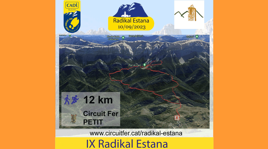 Cartell de la IX Radical Estana (RàdioSeu)