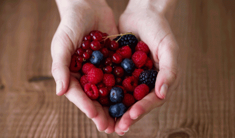 Varietat de fruits del bosc