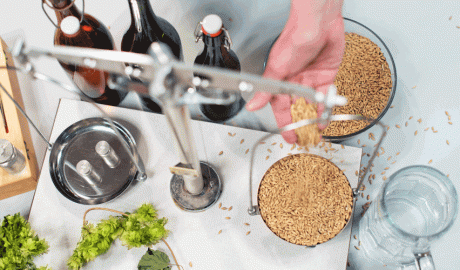 Ingredients per a fer cervesa