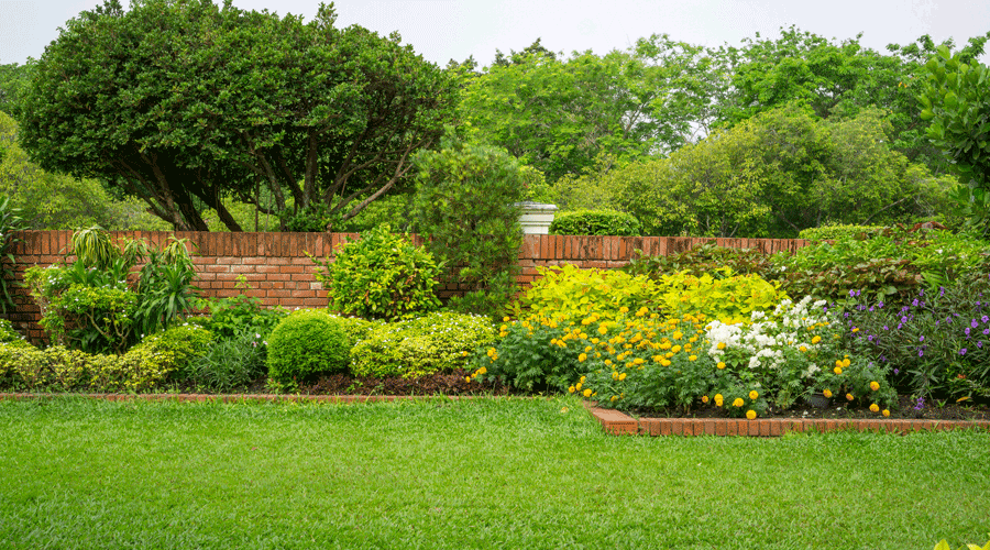 Un jardí ben cuidat (iStock)