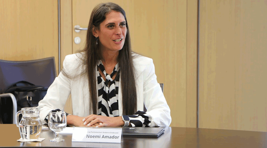 Noemí Amador, president de la Comissió Legislativa d’Afers Socials i Igualtat (Consell General)