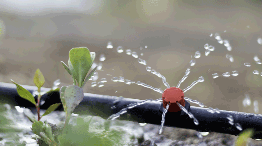 Sistema de reg ecològic (iStock)