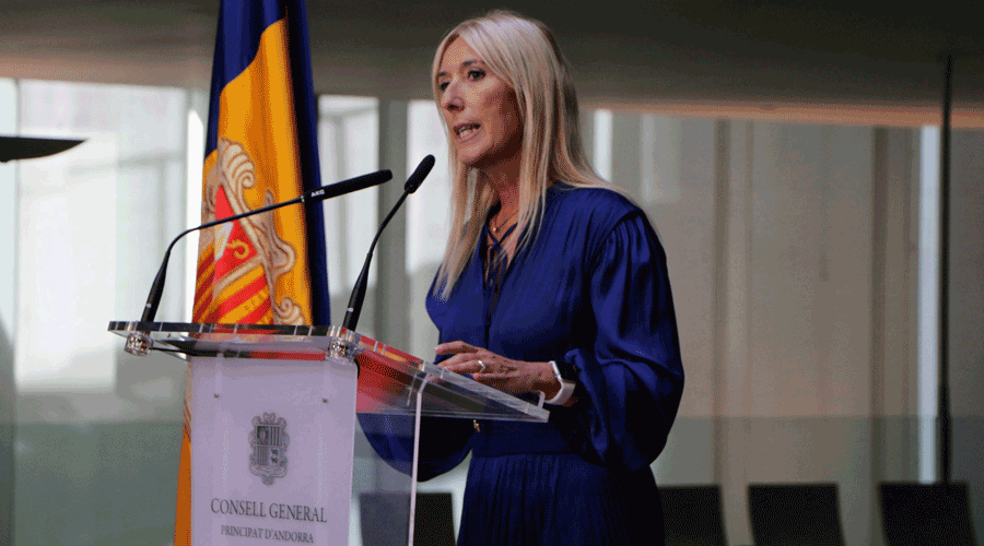 La subsíndica general, Sandra Codina (Consell General)