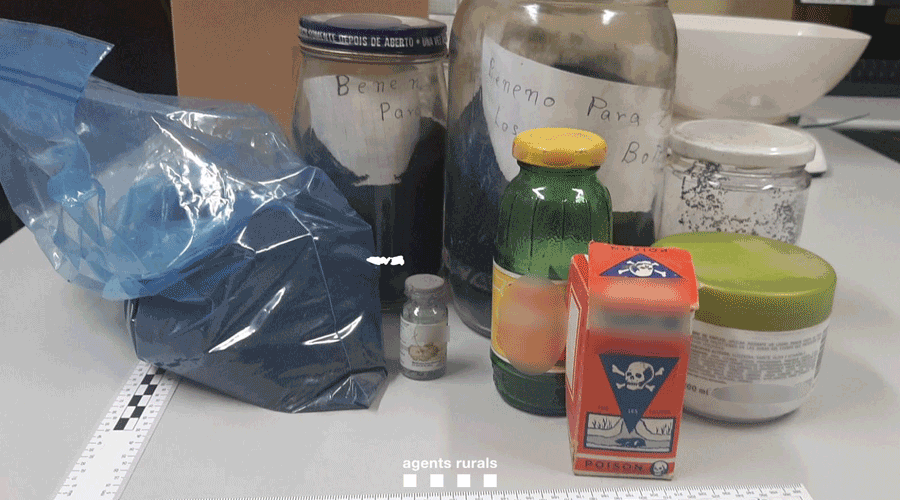 Comís de verins a un individu a l'Alt Urgell (Foto: Agents Rurals)