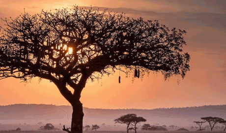 Àfrica pateix la crisi climàtica tot i no ser-ne una causant principal