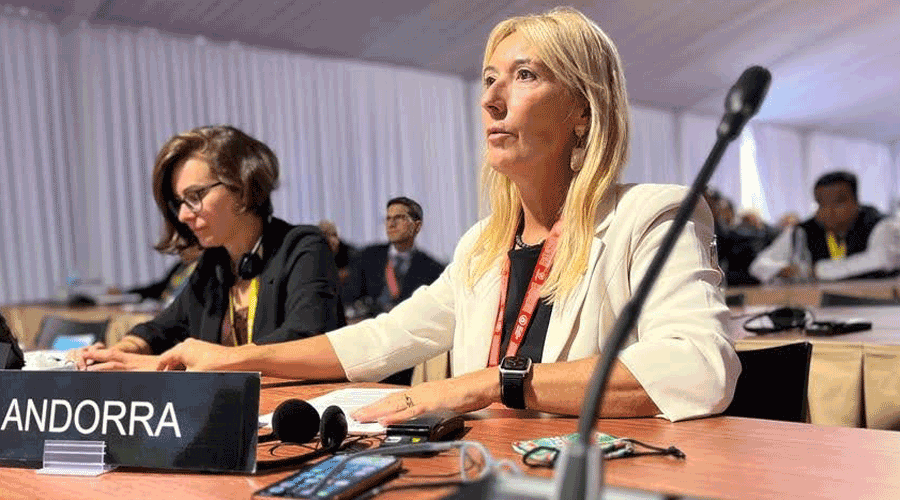 En primer terme, la subsíndica Sandra Codina i, a l'esquerra, la consellera general, Núria Segués (Consell General)