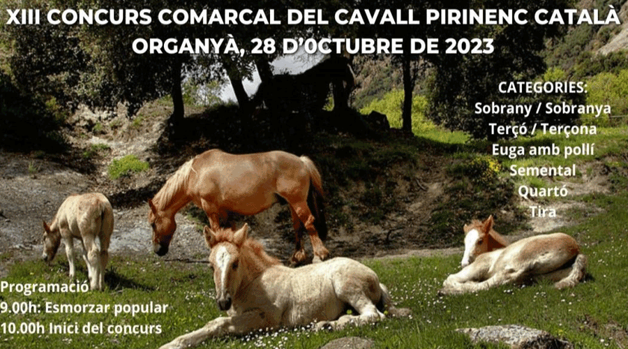 Cartell del Concurs Comarcal de Cavall Pirinenc Català, a Organyà
