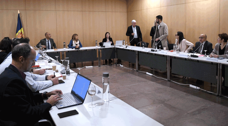 Reunió del Consell Econòmic i Social (SFGA)