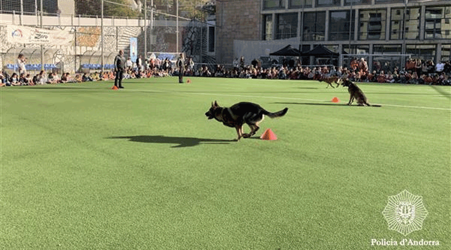 Els gossos del grup de guies canins de la Policia delectant els alumnes (Policia d'Andorra)